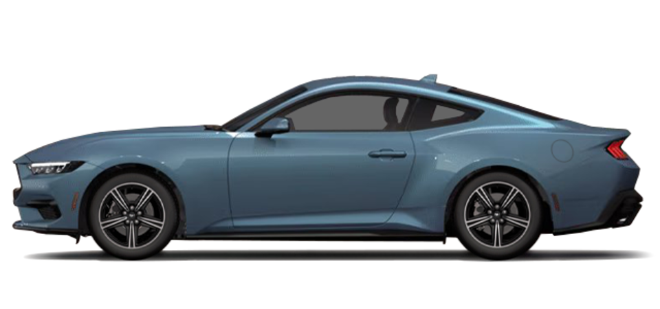 Pictures Available Soon