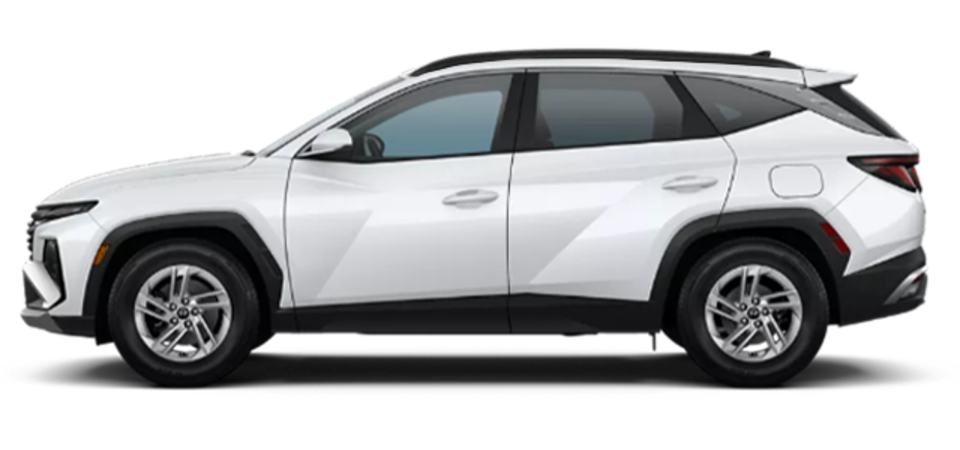 Pictures Available Soon