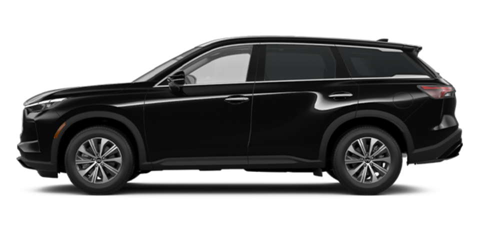 Pictures Available Soon