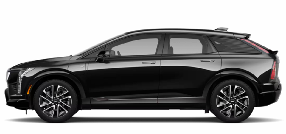 Pictures Available Soon