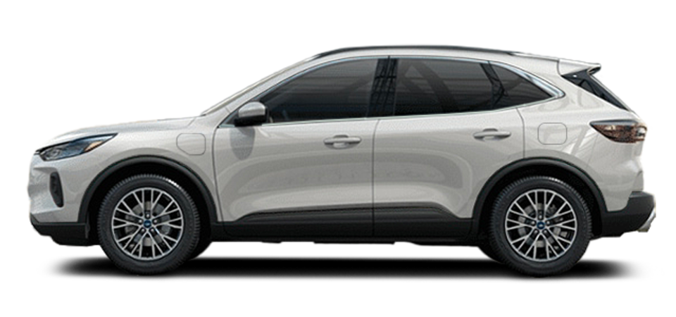 Pictures Available Soon