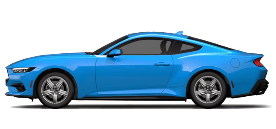 Pictures Available Soon