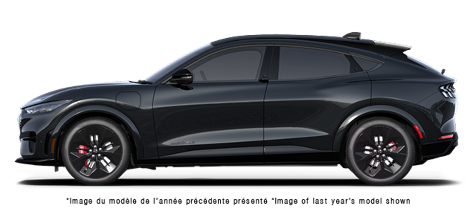 Pictures Available Soon