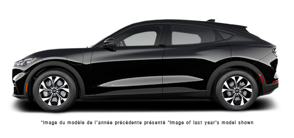 Pictures Available Soon