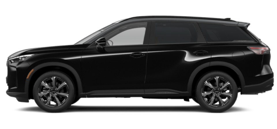 Pictures Available Soon