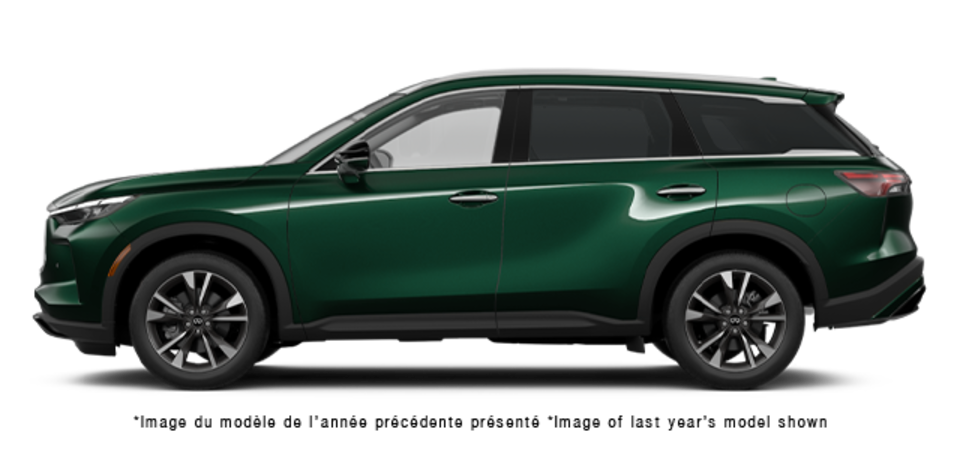 Pictures Available Soon