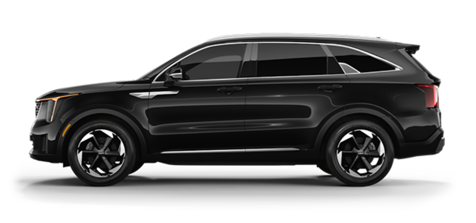 Pictures Available Soon