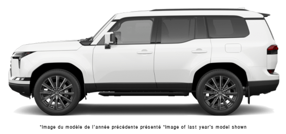 Pictures Available Soon