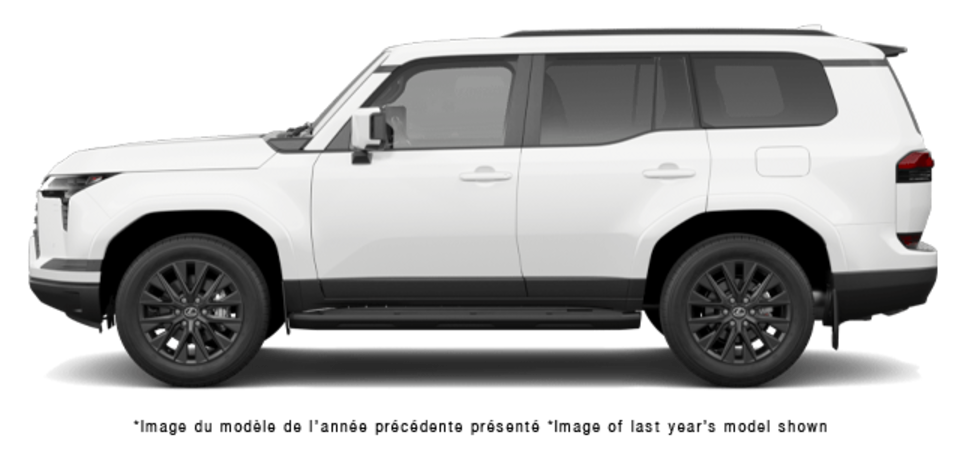 Pictures Available Soon