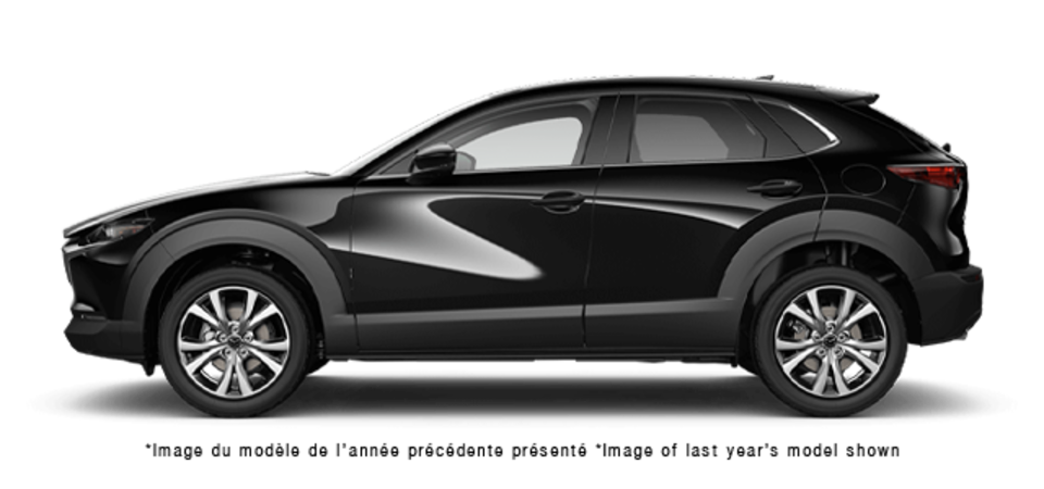 Pictures Available Soon