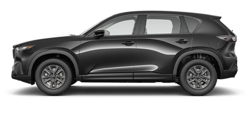 Pictures Available Soon