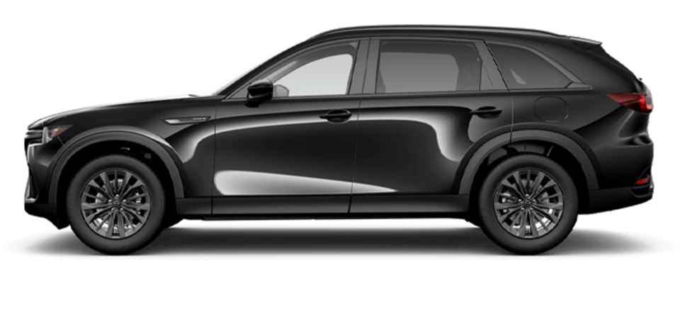 Pictures Available Soon