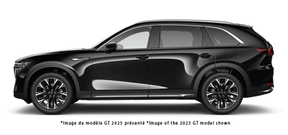 Pictures Available Soon