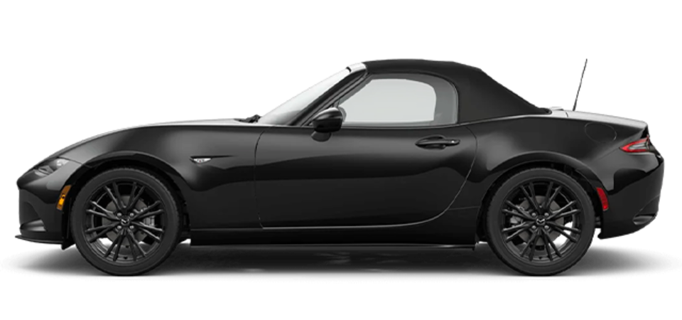 Pictures Available Soon