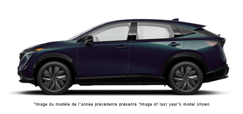 Pictures Available Soon