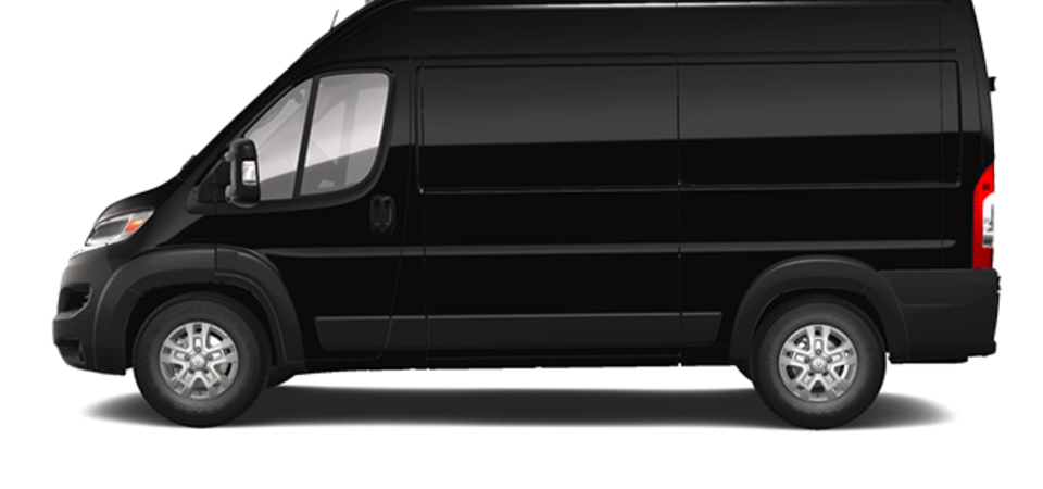 Pictures Available Soon