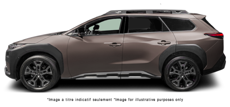 Pictures Available Soon