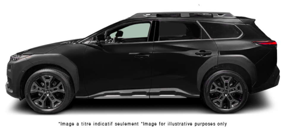 Pictures Available Soon