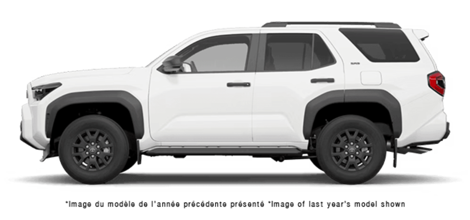 Pictures Available Soon