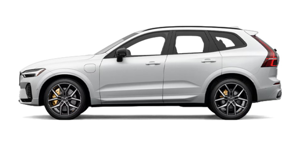 Pictures Available Soon