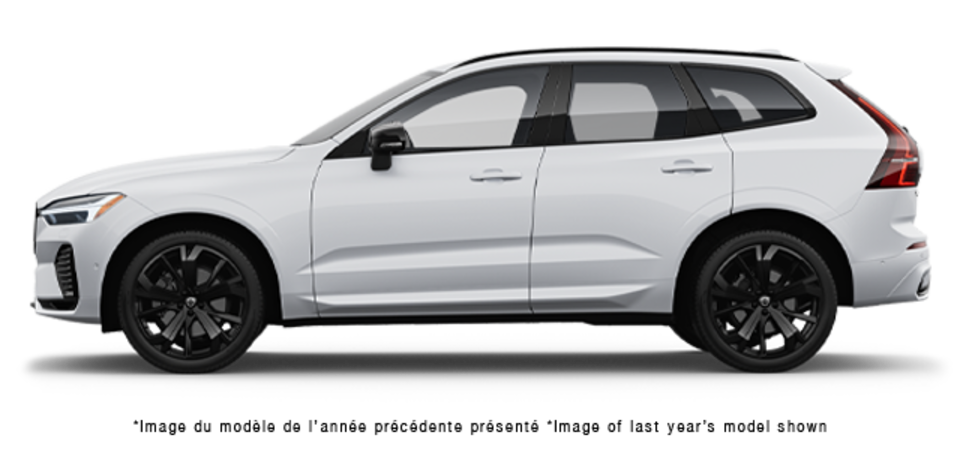 Pictures Available Soon