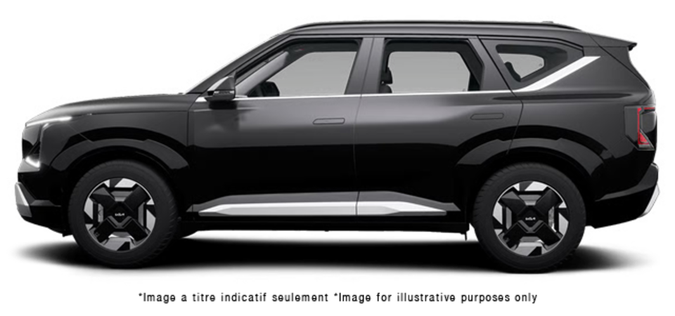 Pictures Available Soon