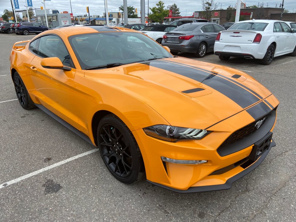 2019 Ford Mustang Ecoboost Premium-2