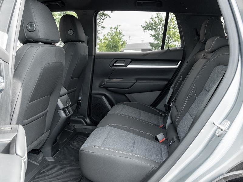 image-19