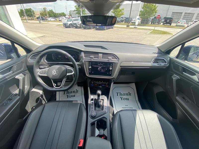 image-19