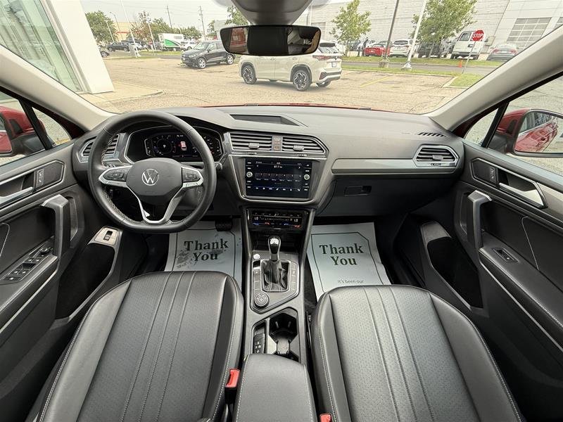 image-19