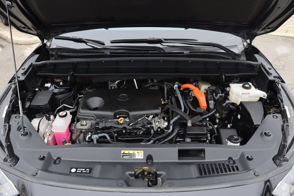 image-19